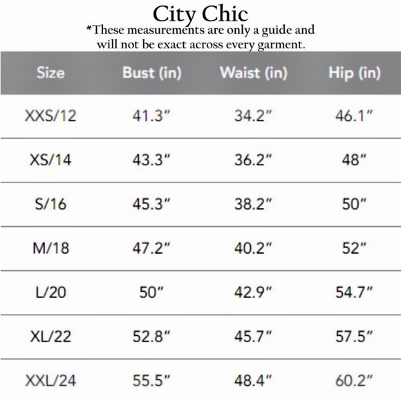 City Chic Women Plus Size V Necked plus size Dress mini bouquet Belt Sz XL 22 - Picture 13 of 13